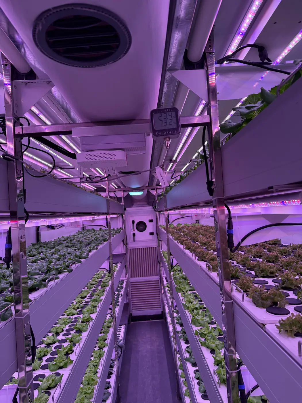 BioCube Container leafy green crop canopy under LED growing lights