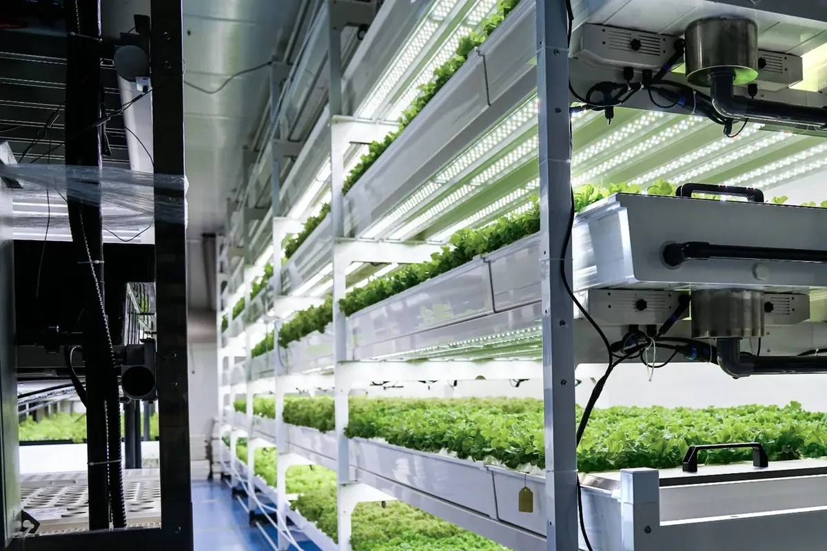 BioCube Modular leafy green vertical farm aisle for commercial production detail view