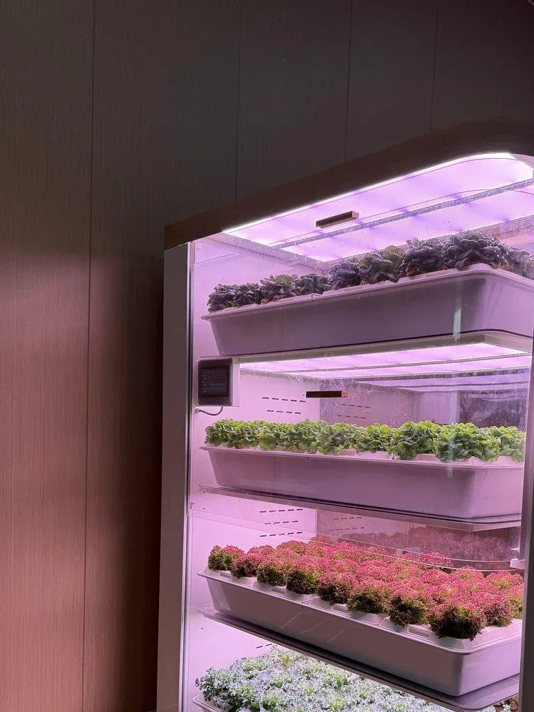 FarmCube Nano compact indoor grow cabinet for fresh herbs and microgreens detail view