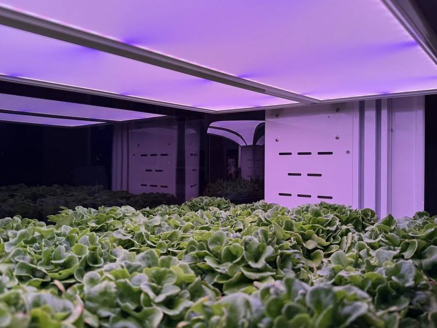 FarmCube Nano microgreens display cabinet with LED lighting