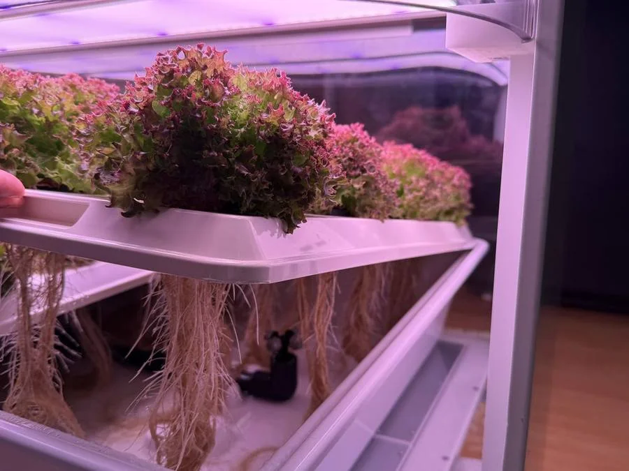 FarmCube Nano restaurant herb grow cabinet for fresh on-site production