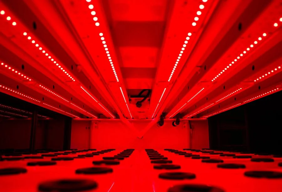 FarmCube Ultra programmable deep red 660nm LED spectrum — internal growing chamber showing deep red-based light programme for maximum photosynthesis and flowering