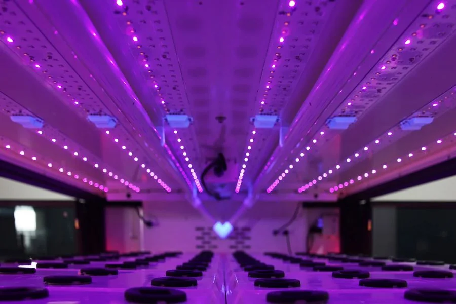 FarmCube Ultra programmable purple UV LED spectrum — internal growing chamber showing UV-red combined light programme for antioxidant and secondary metabolite production