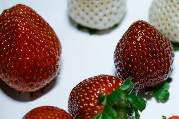FarmCube Ultra strawberry cultivation in grow buckets detail view