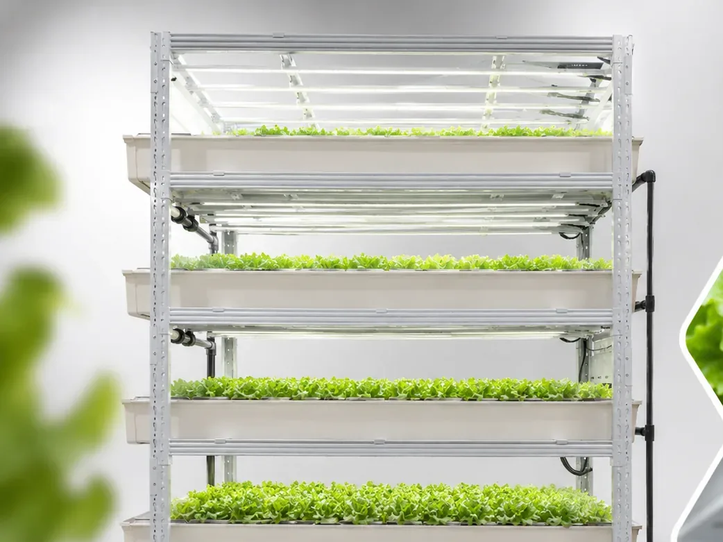 Pegma Germin multi-layer germination rack with leafy greens and healthy root development detail view
