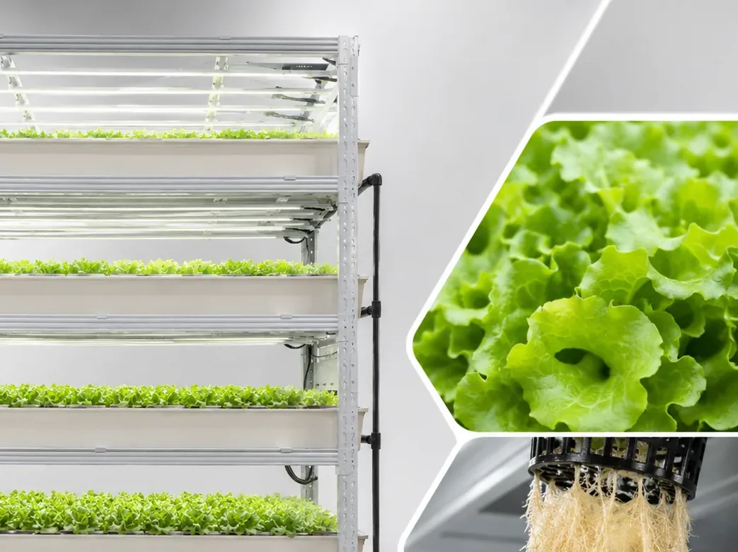 Pegma Germin multi-layer germination rack with leafy greens and healthy root development detail view