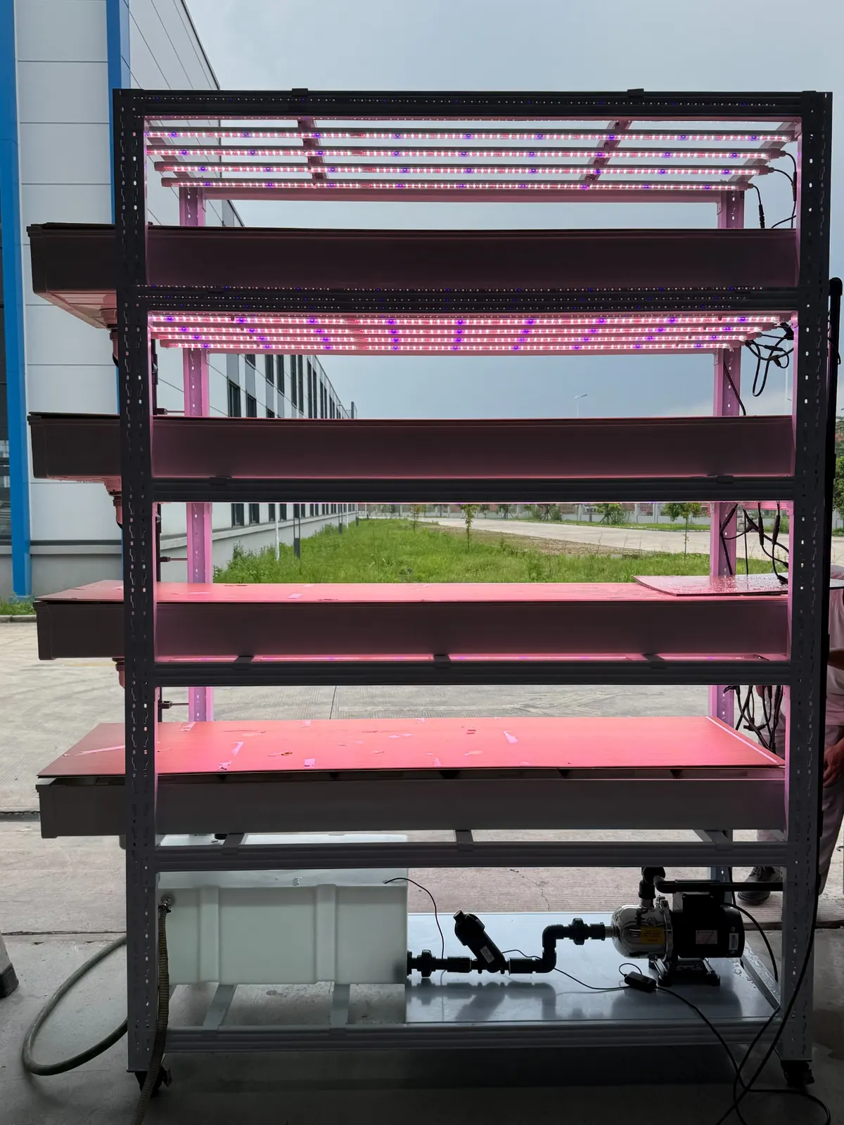 Pegma Germin angled real rack image