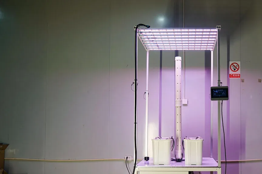 Pegma Omni-4 in growing facility — front-facing view showing purple LED spectrum across grow area detail view